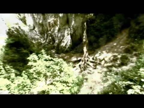 Vanare de Vant - Florian Pittis *