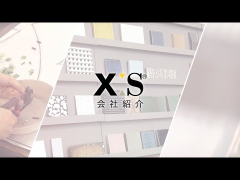 【株式会社エクシィズ】会社紹介動画