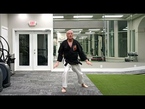 Wansu – Sensei Rod Lindgren