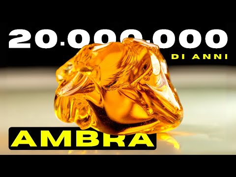 AMBRA, Gemma Nata da UN ALBERO 20 Milioni di Anni fa | Lineagem / Gemme / Pietre Preziose