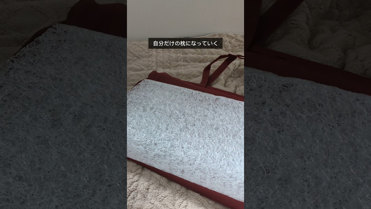 4時間睡眠でも寝不足にならない理由 #youtube #youtubeshorts #pr #ad #ブレインスリープ