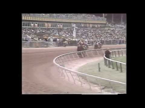 CODEX - PREAKNESS STAKES 1980
