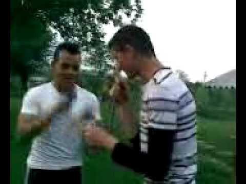 florin salam live la boteni