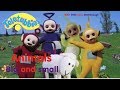 Teletubbies Animals Big And Small 2002 DVD Menus HD
