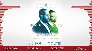 גוונים ירוקים | ורמקייט | סט 4