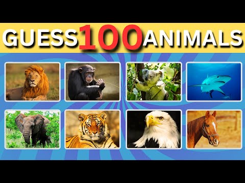 Guess 100 Animals: Fun Quiz for Kids | Kids FunTastic Learning Channel