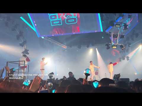 171217 워너원 팬콘 워너비 이대휘 김재환 옹성우 하성운