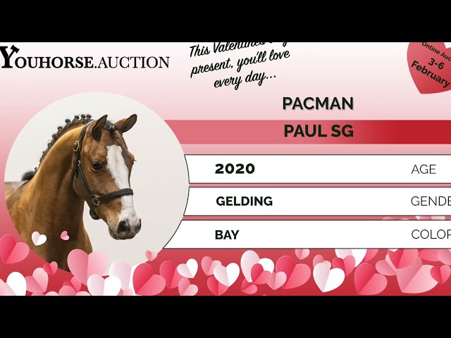 Pacman under the saddle