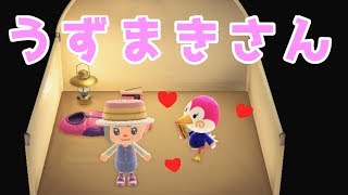 【あつ森】リベンジ ついに愛しのあの人が・・・！！