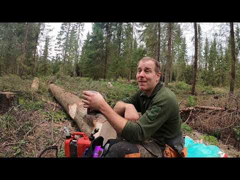 Yksi tapa säilyttää motivaatio metsätöissä / 3,46t tilaajan "erikoinen" eli 346 huski käskytettävänä