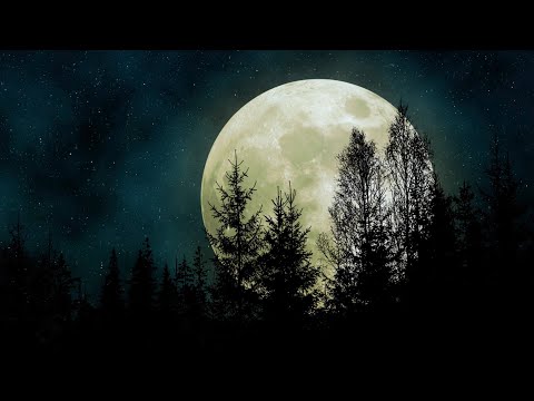 First Daughter of the Moon