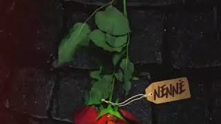 PEPPE SOKS (NENNÈ )