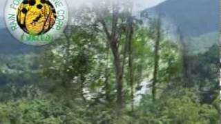 preview picture of video 'El Yunque Rain Forest Zip Line'