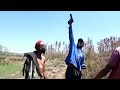 IMALI Zulu Drama