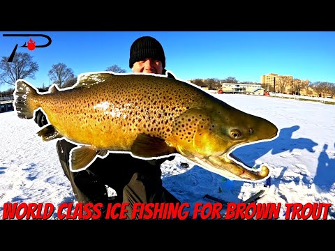 World Class Ice Fishing for Brown Trout