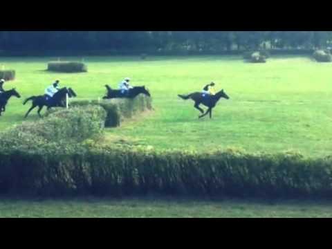 dostihy netolice  (Created with @Magisto)