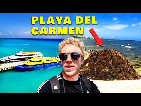Playa Del Carmen Beach Shock - BEFORE & NOW (Mexico) 2025