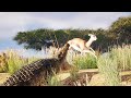 Playing as a 750kg Crocodile | Animalia Survival