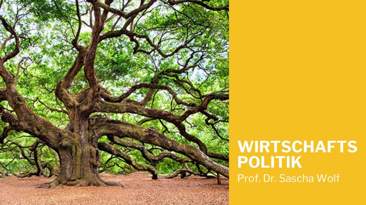 Wirtschaftspolitik 👣🌲 - Weiterbildungsmodul/ Further education module | #AHP