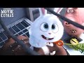The Secret Life Of Pets Clip Compilation 2016