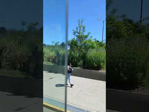 Edificio Municipal.de Lomas de Zamora . Plaza Grigera 🇦🇷