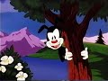 Looney Tunes Animaniacs Pinky And The Brain And Tiny Toons VHS Releases Trailer 1996