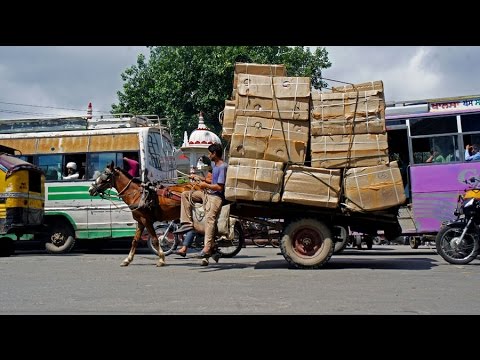 Walking in Amritsar (India)