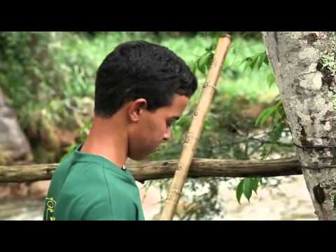 Help Valdinei become a scientist!