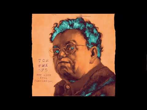 Mixed by Dj Junkiefink - TheChatRoom_#MX075_TechHouse Party