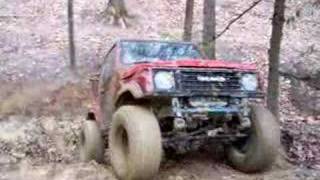 Diggin' in Payne Hollow