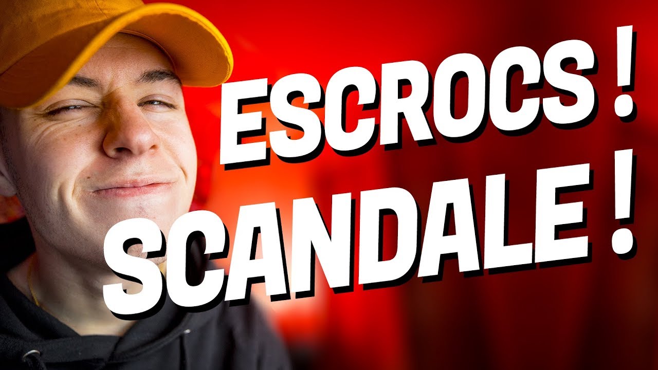 THE LARGEST MUSIC FRAUD - Seb la Frite