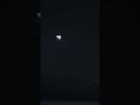 YouTube 썸네일