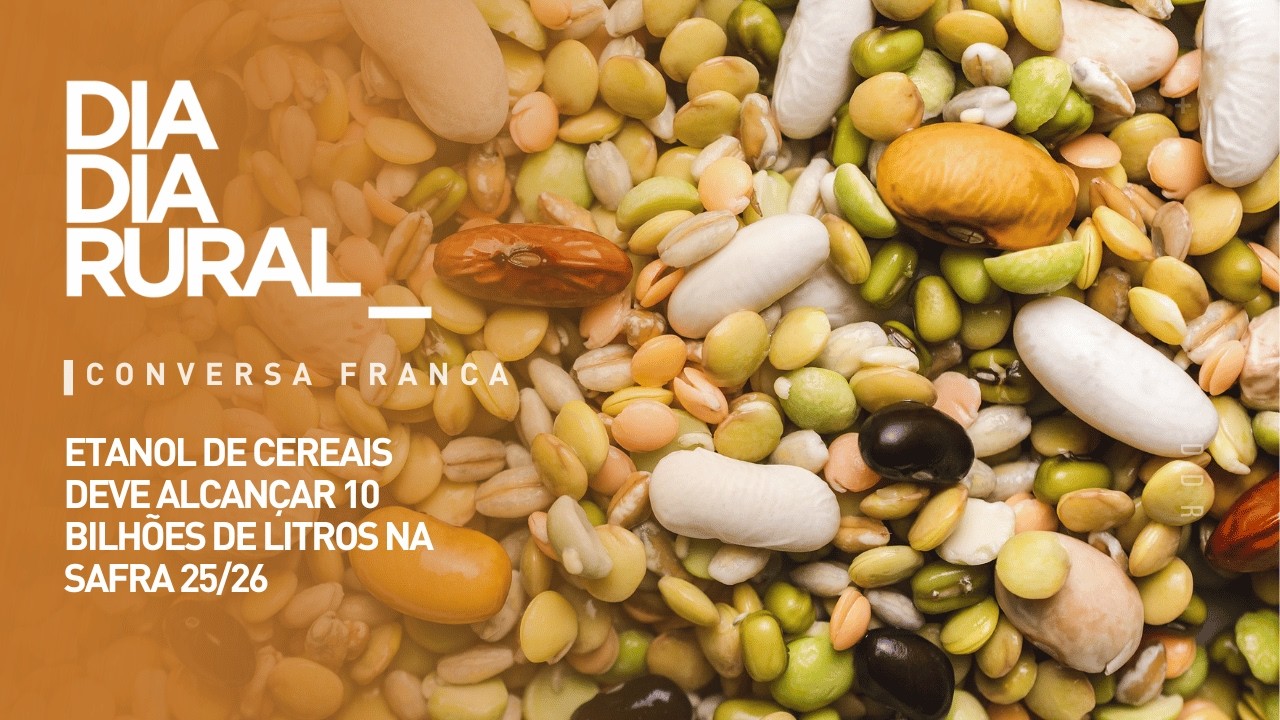 Etanol de cereais deve alcançar 10 bilhões de litros na safra 25/26