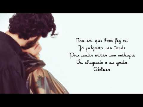 Aleluia video