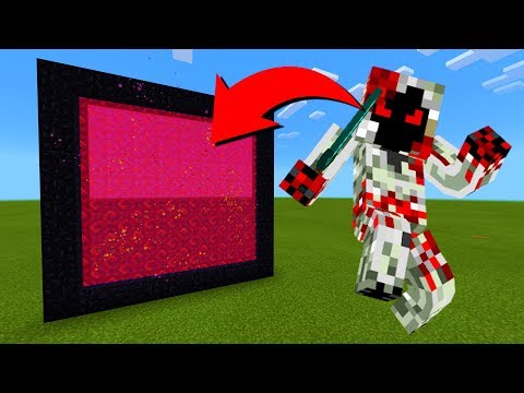 How To Make A Portal To The Entity 303 Dimension in Minecraft!