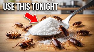 Cockroach Problem? Try This Kitchen Ingredient Hack