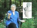 Deanna Morse Interview