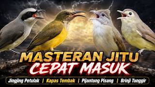 Download lagu KASARAN TANDES! MASTERAN JINGJING PETULAK KAPAS TEMBAK BRINJI TUNGGIR PIJANTUNG PISANG GACOR JERNIH mp3 Download lagu KASARAN TANDES! MASTERAN JINGJING PETULAK KAPAS TEMBAK BRINJI TUNGGIR PIJANTUNG PISANG GACOR JERNIH mp3