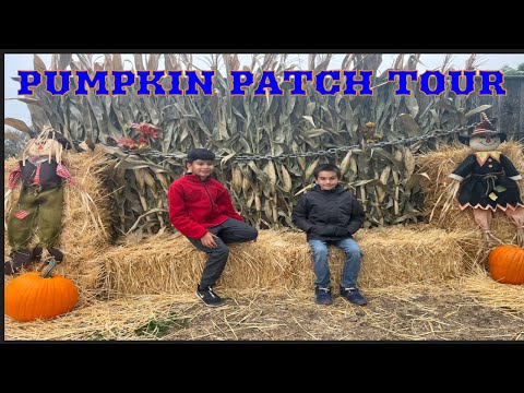 How to celebrate Pumpkin Patch in America