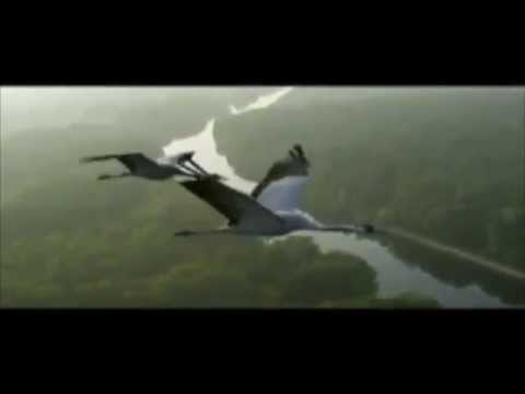 'Непрощенная' Лиханов