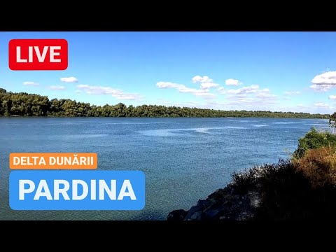 🔴 LIVE din PARDINA - DELTA DUNĂRII | Ultimul Live!