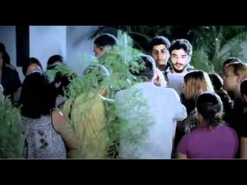 2011 As Maes De Chico Xavier