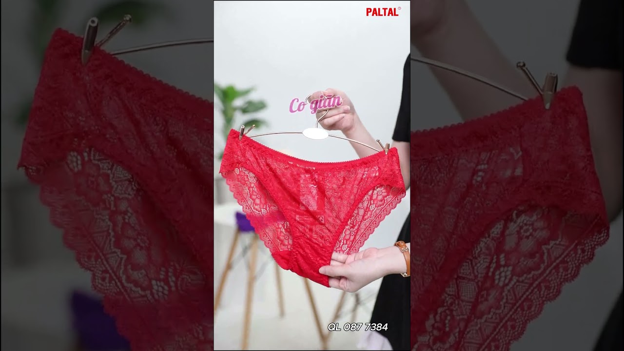 Combo 02-06-10 quần lót nữ Ren 087p 7384