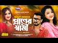 Praner Swami Shilpi Biswas প্রাণের স্বামী Bangla New Song Folk Song 2024
