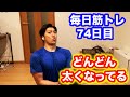 【毎日筋トレ74日目】最近はまたまた太くなってきてる気がします!