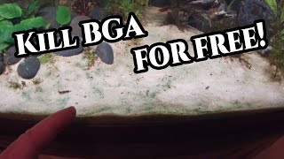 Easy FREE way to Kill Blue Green Algae. | Blackout w/ results