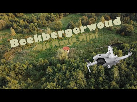 Beekbergerwoud in the evening