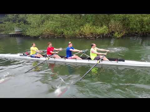 Men's 4+