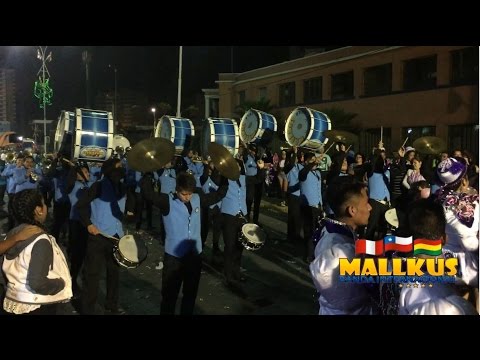 Banda Internacional Mallkus - Despacito