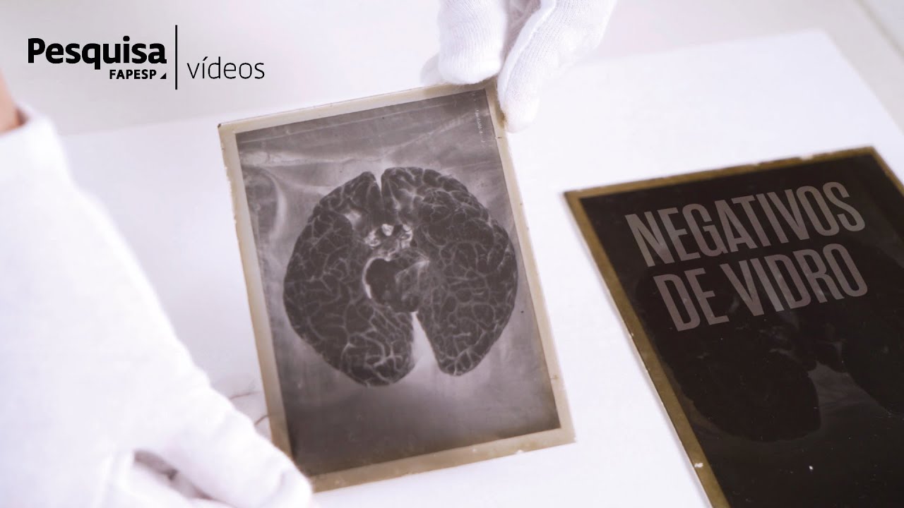 A importância dos negativos de vidro para a história da fotografia #photography #science #photo